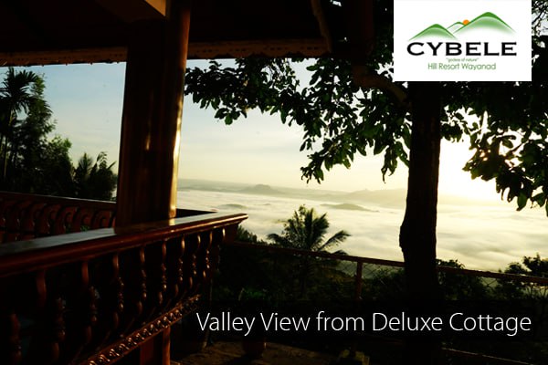 Deluxe Cottage View 6