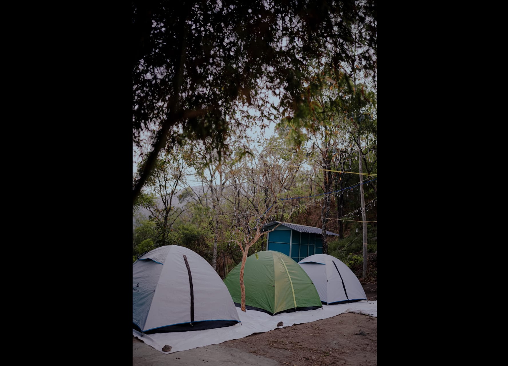 Camping Tent 3